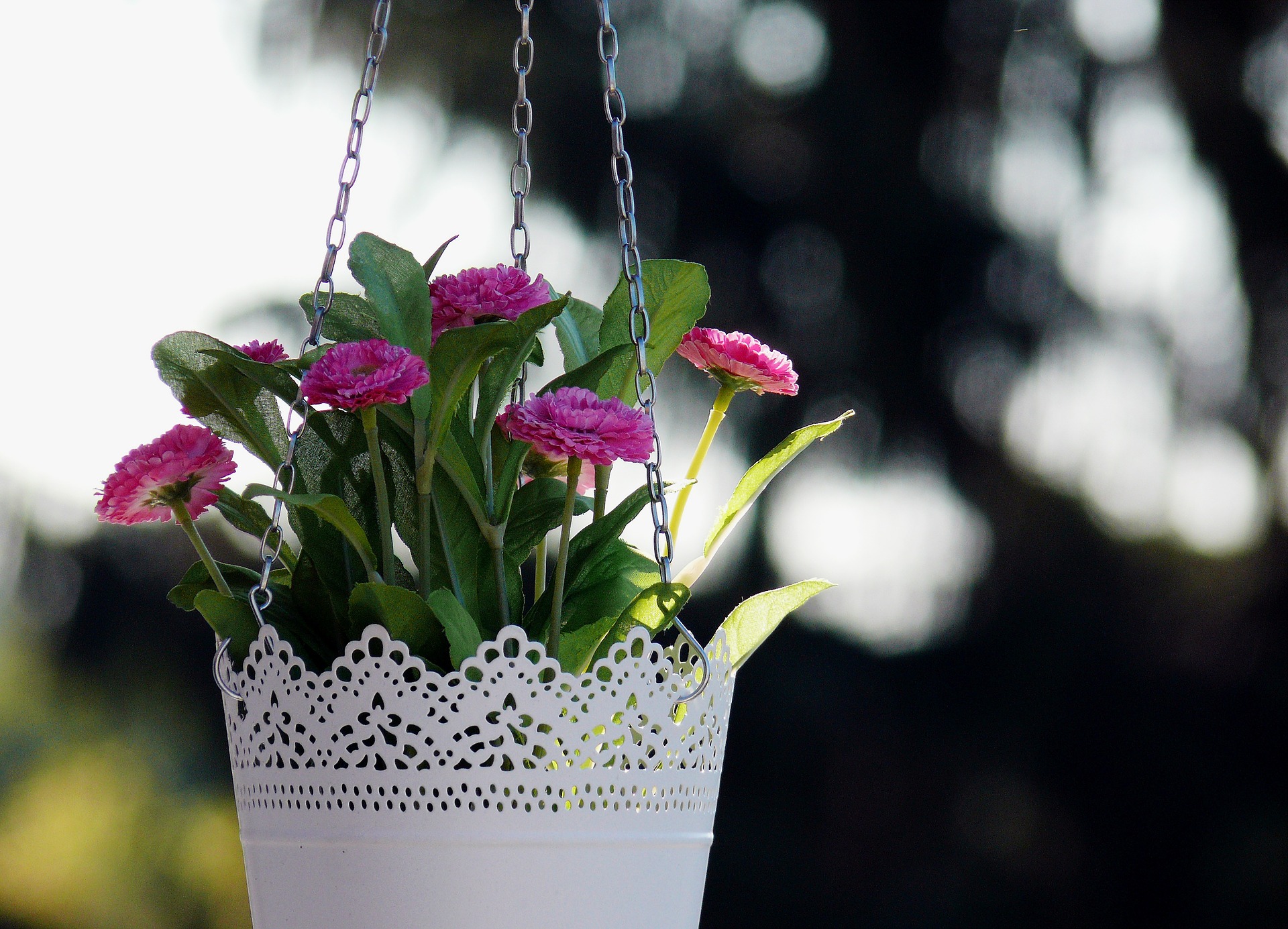 Hanging baskets at the garden centre