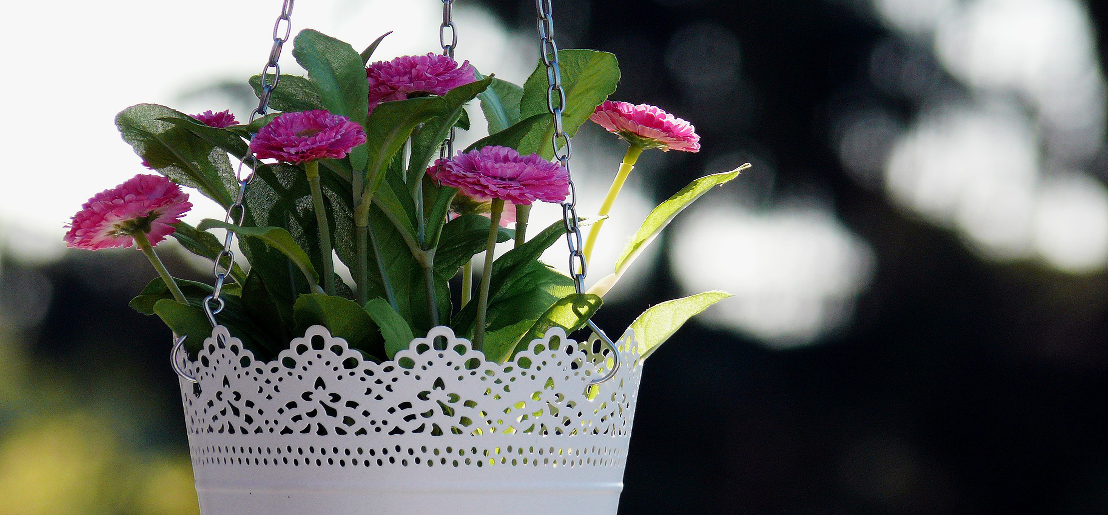 Hanging baskets at the garden centre