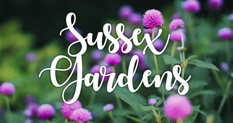 Sussex Gardens