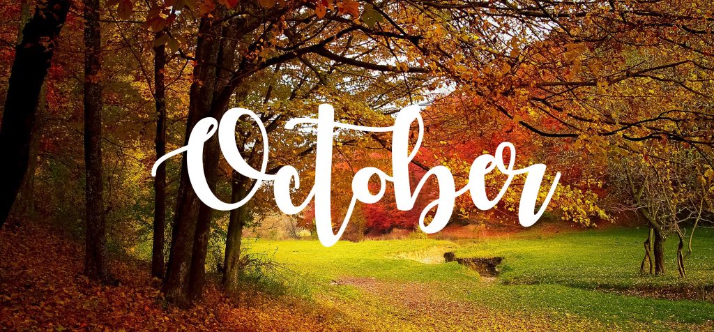 Your October Garden | UpCountry Garden Centre & Bakehouse