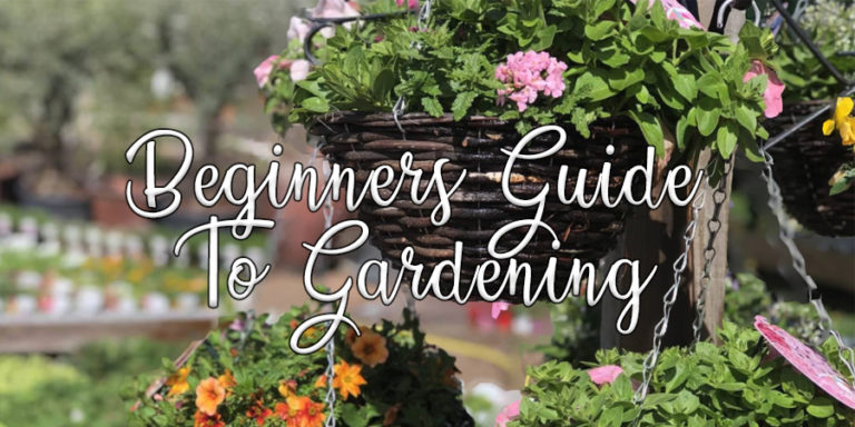 free download gardening for beginners