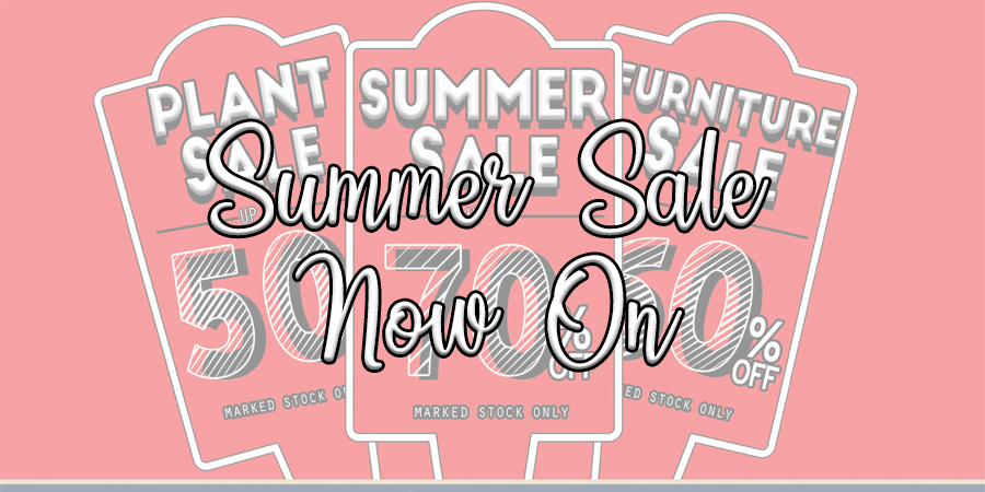 Summer Sale