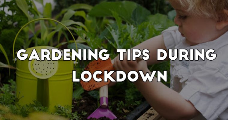 Gardening Tips During the Corona Virus Lockdown