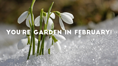 Your own February checklist for a perfect garden!